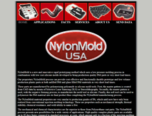 Tablet Screenshot of nylonmoldusa.com